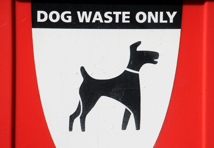 Dog Waste Bins