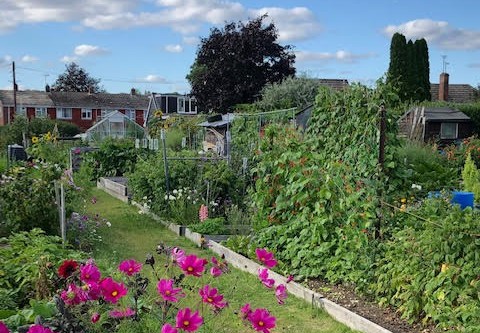 Allotments